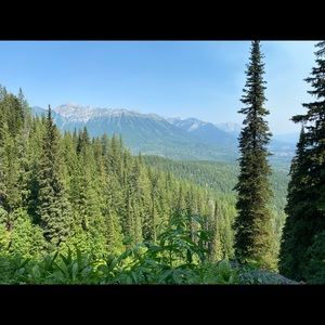 Meet your Posher, Tori